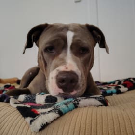 Honey Mae