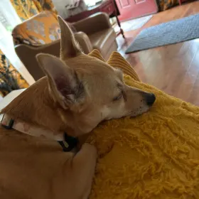 Maggie