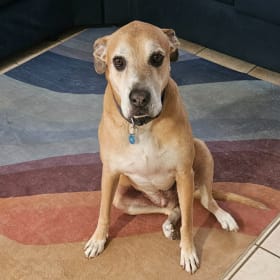 Milo