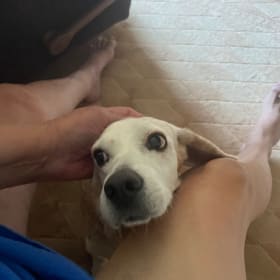 Hey