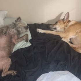 Ollie and Lucy
