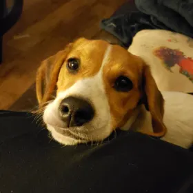Maggie