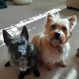 Penelope and Dexter