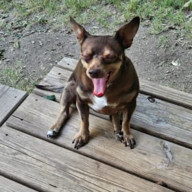 Zoey