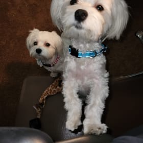 Kallie and Kash