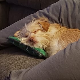 Dexter