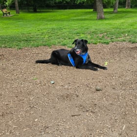 Rocky