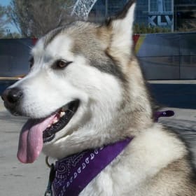 Sam