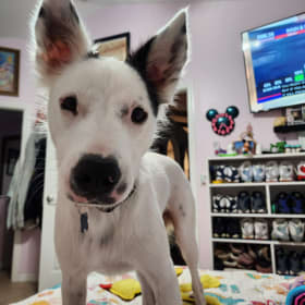 RILEY
