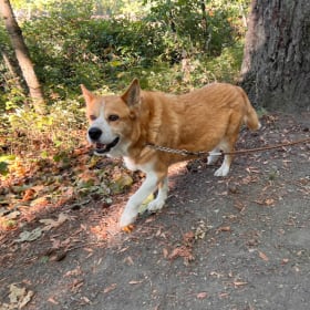 Buckley