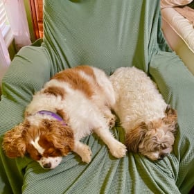 Samuel and Rebecca