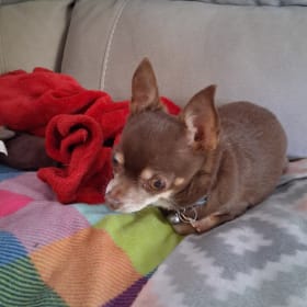 Minnie