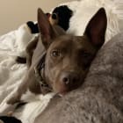 Max