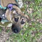 Ruthie