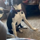Maggie