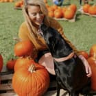 Callie Loux
