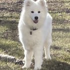 Ella