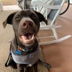 Remington