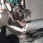 Lyka