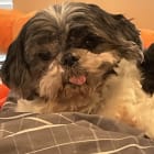 Winnie