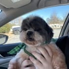 Winnie