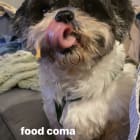 Winnie