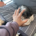 Winnie