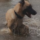 Karma