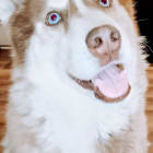 Riley