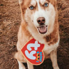 Riley