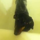 Mr Cooper