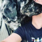 Rosco