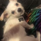 Lucky