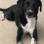 Chloe