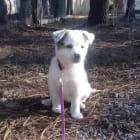 Maggie Mae