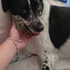 Nala