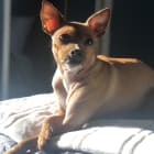Tina