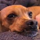 Tina