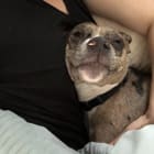 Milli