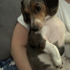 Nevaeh