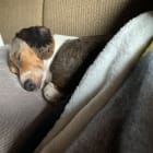 Nevaeh