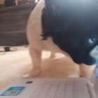 tiny