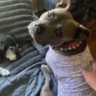 Suzie