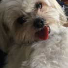 Popsy