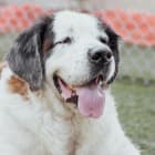 Benny