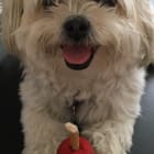 Popsy