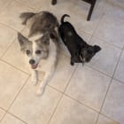 Bella and Harley