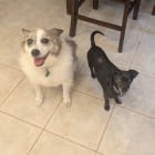 Bella and Harley