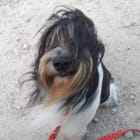 Xena