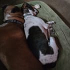 Zoey